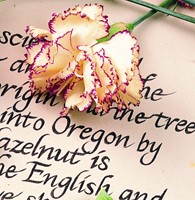 Fineliner Staedtler Pigment 308 zwart 0.5mm-9