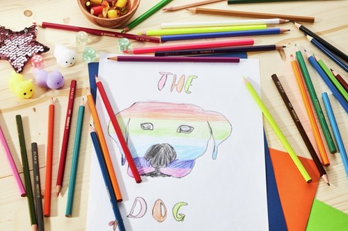 Kleurpotloden STABILO 979 color assorti kartonnen etui à 24 stuks-1