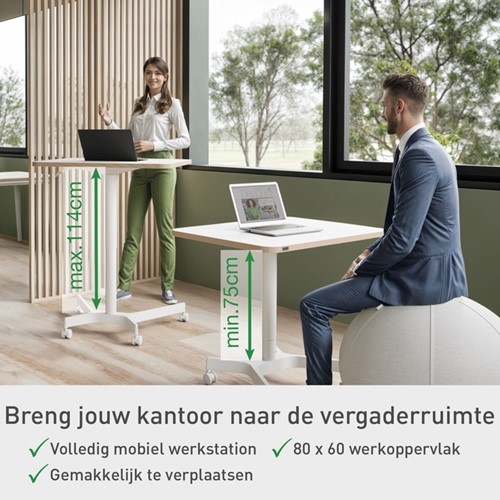 Zit-Sta bureau Leitz Ergo compact-6