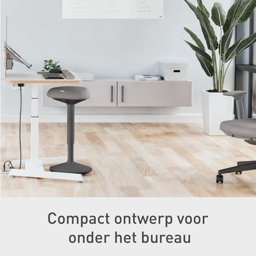 Actieve stakruk Leitz Ergo met comfortzitting-14