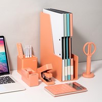 Bureauset 13-delig roze