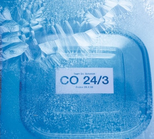 Etiket HERMA 4389 66x33.8mm diepvries wit 600stuks-2