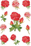 Etiket HERMA 3581 rozen-3