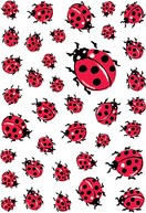 Extra afbeelding voor product 818094