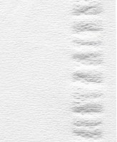 Facial tissues Satino 2-laags 100 vel wit 206450-3