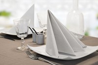 Dinerservet Tork Advanced 1/4 vouw 2-laags 395x390mm 150 vel wit 478746-2