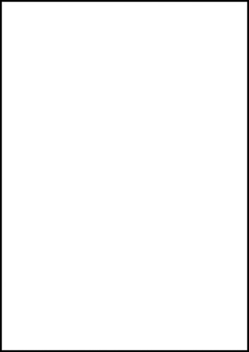 Etiket Avery 6119 210x297mm A4 wit 25 stuks-1