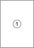 Etiket Avery DP001 210x297 wit 100 etiketten-2