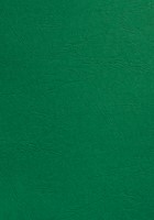 Voorblad GBC A4 lederlook groen 100 stuks
