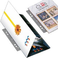 Opbergstrip Djois filestrip 125mm 2rings transparant 50 stuks-2