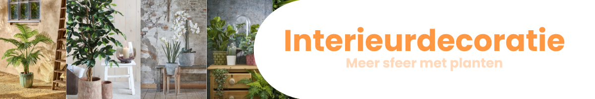 Artikelgroep - 8637 - Intereurdecoratie