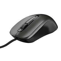 Muizen en muismatten